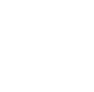 Prochem Logo